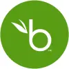 BambooHR 